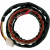 Статор OEM style RICK'S MOTORSPORT ELECTRICS 21-101 thumb