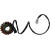 Статор OEM style RICK'S MOTORSPORT ELECTRICS 21-302 Статор OEM style RICK'S MOTORSPORT ELECTRICS 21-302 thumb