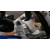 BMW 1300GS 2.4