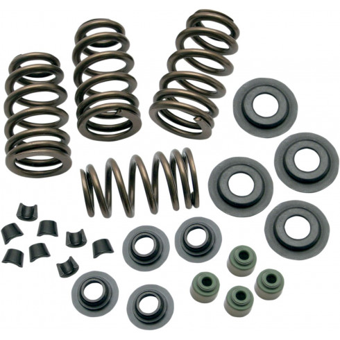 Комплект пружини за клапани SIDEWINDER 0.650 Комплект пружини за клапани SIDEWINDER 0.650