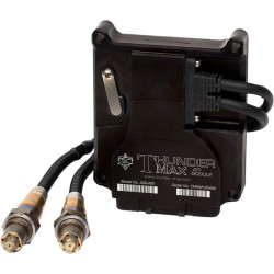 Ecm с автотюн THUNDERMAX THUNDERMAX 309-485