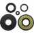 Семеринг YAMAHA VERTEX 55133 thumb