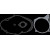 Комплект гарнитури за двигател KEG075 VINTCO KEG075 thumb