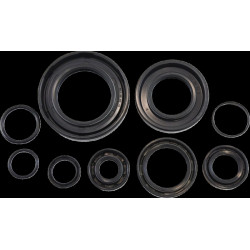 Комплект семеринги KOS006 VINTCO KOS006
