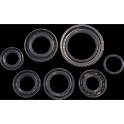 Комплект семеринги KOS003 VINTCO KOS003 Комплект семеринги KOS003 VINTCO KOS003