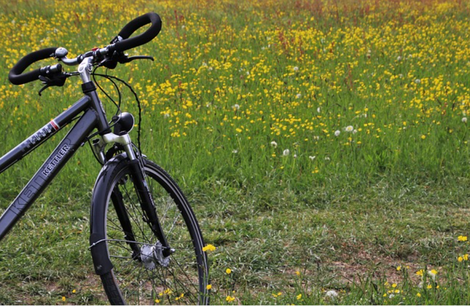 Източник: Pixabay.com; Велосипед на зелена поляна