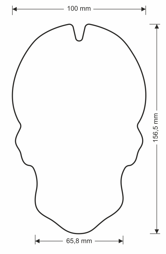 Протектор за резервоар CGSKULL2P/3457 — снимка 4