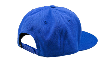 Шапка TROY LEE DESIGNS Flat Bill Snapback Signature - BLUE — снимка 2