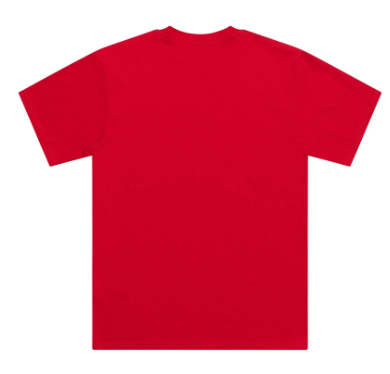 Тениска TROY LEE DESIGNS Signature - Team Red — снимка 5